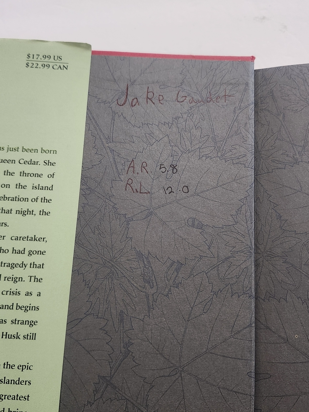 Book - Picture 7 of 11